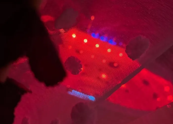 Avec Jacuzzi Privatif A Centre 10mn Des Plages Appartement Perpignan